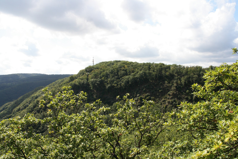 Blick über die Hügelkette